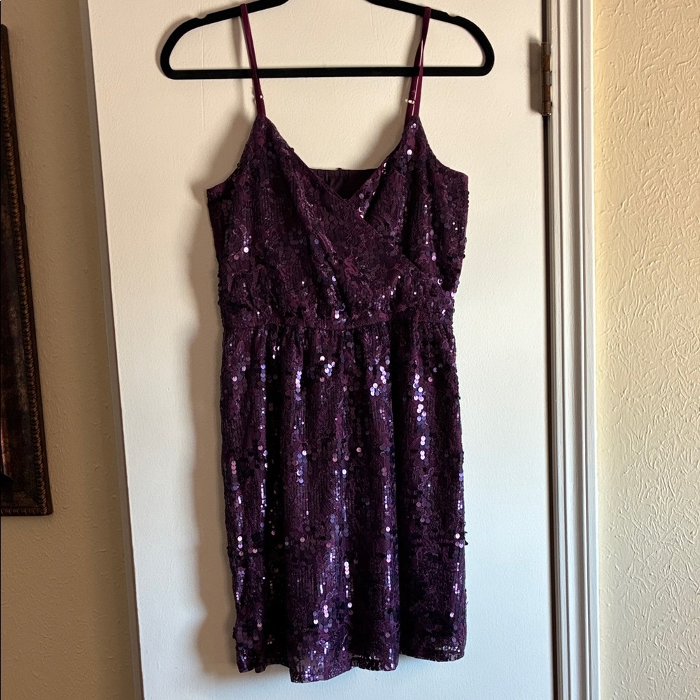 Express Purple Sequin Dress
